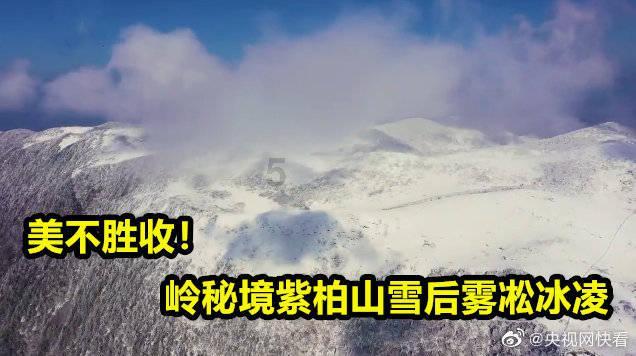 方形射手
