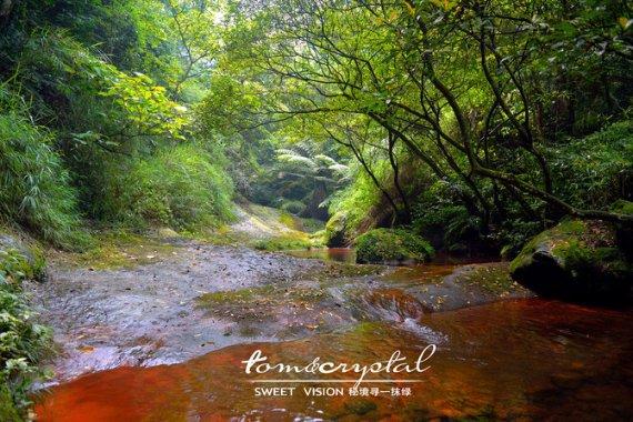 2024春运暖在椰城:“一对一”贴心服务 为旅客答疑解惑