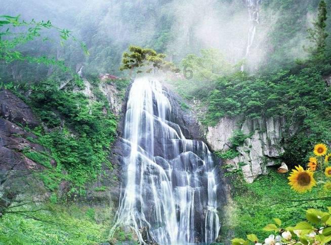 逃出猫头鹰岛